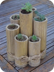 Bamboo pole planter